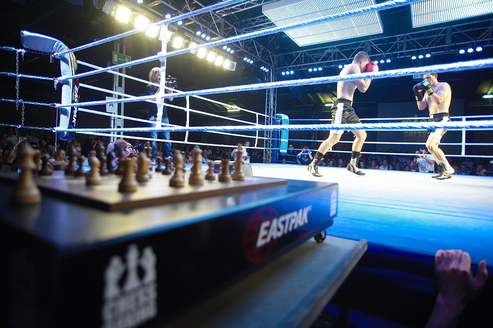 Slap The Penguin: Chess Boxing - Where brains and brawn meet