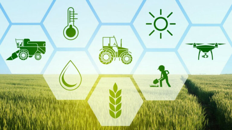 The Agricultural Sector Requires Investment And Access To Contemporary Technologies