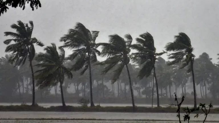 Alert News: Rainfall Leading To Different Problems across India