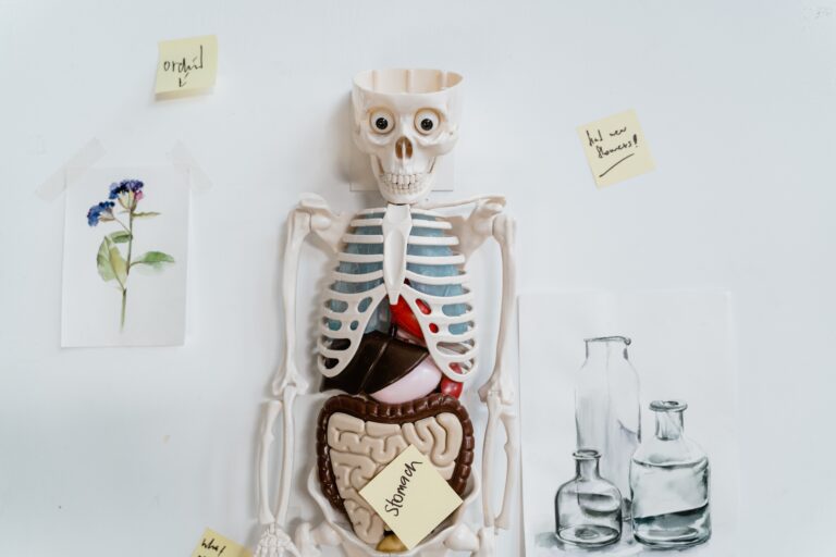3D printing in healthcare