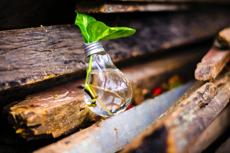 Corporate Social Responsibility and Environmental Sustainability