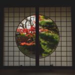 Biophilic Design