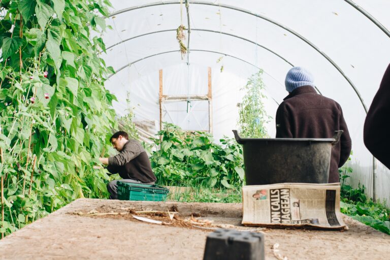 Urban Agriculture