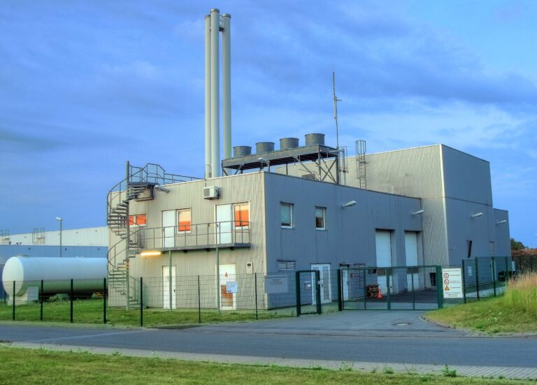 Biomass Energy for Sustainable