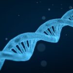 DNA