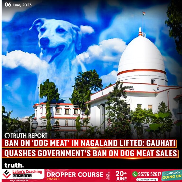 Gauhati high court lifts Nagaland’S Dog meat ban