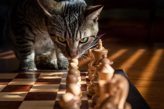 Chess