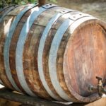 Fermentation