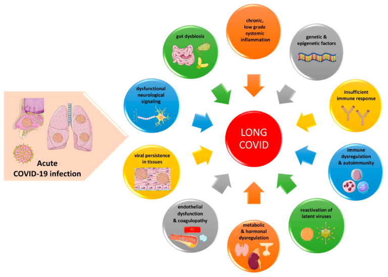 Unlocking the Mysteries of Long COVID: Crucial Findings Shed Light on Immune Imbalance