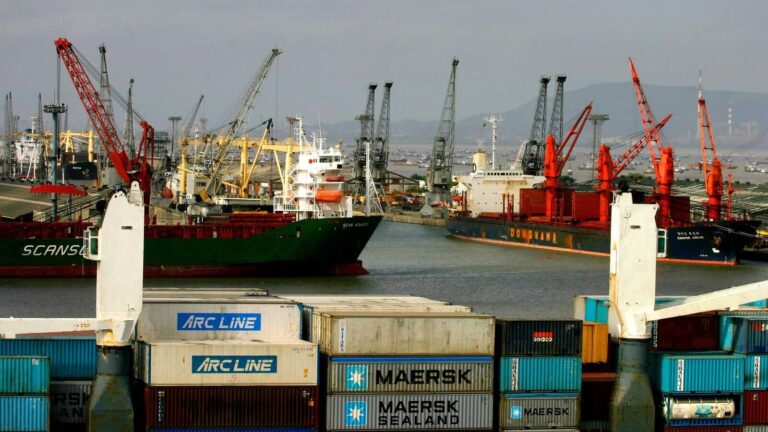 We Need Corporate Nationalism for Port Infrastructure