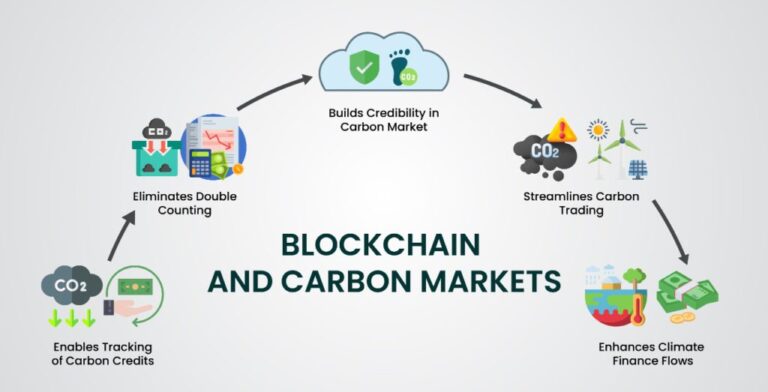 Transparency Holds the Key to a Carbon Market That Delivers
