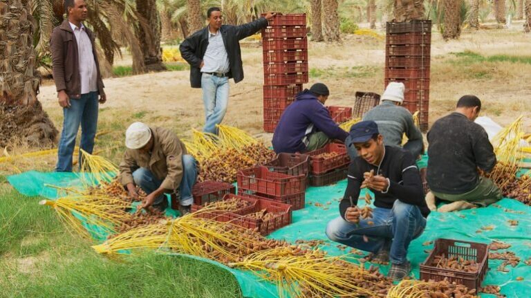 A Carrot to Make the Big Shift: Formalizing Informal Economies