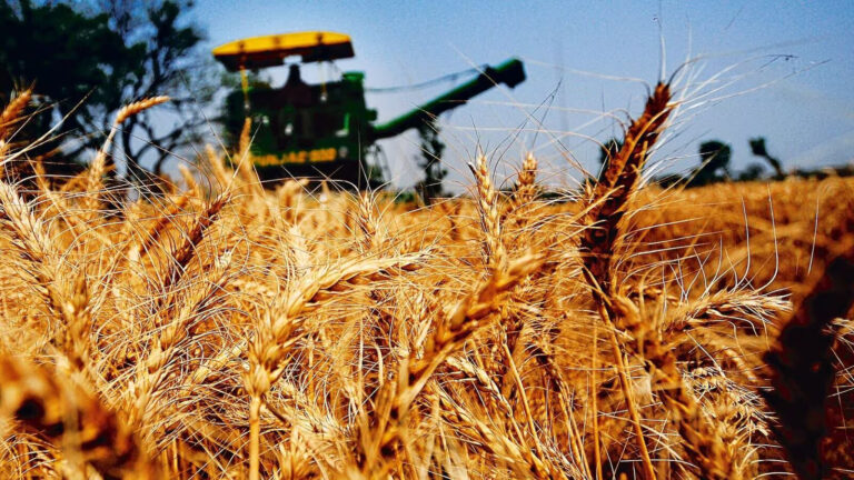 Can Farmer-Run Firms Ever Make It Big?